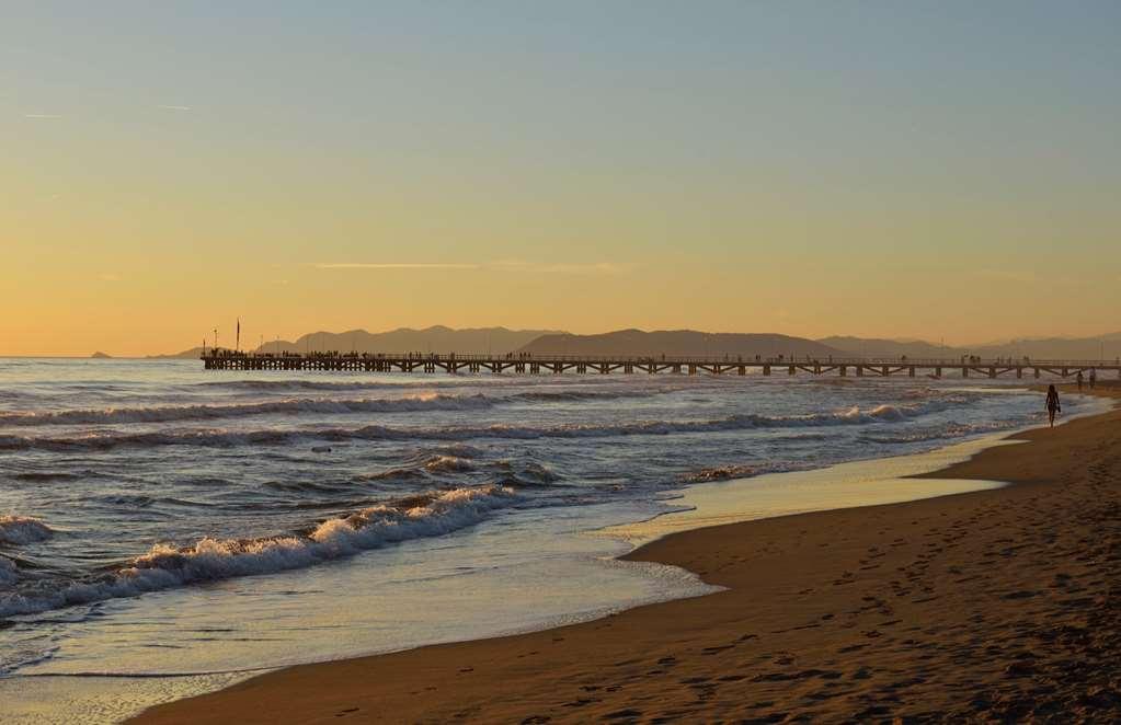 Villa Roma Imperiale Forte dei Marmi Natură foto